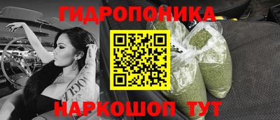 спайс Коммунар