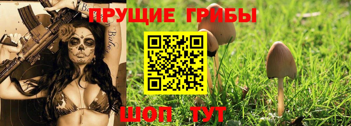 Галлюциногенные грибы мухоморы Когалым
